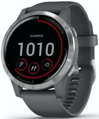 Garmin vívoactive4 Silver/Gray Band